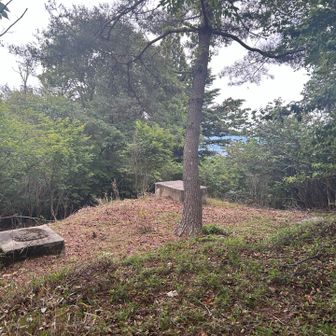 矢坪ヶ岳の山頂は木々に阻まれて眺望はないけど、休憩は出来ます。