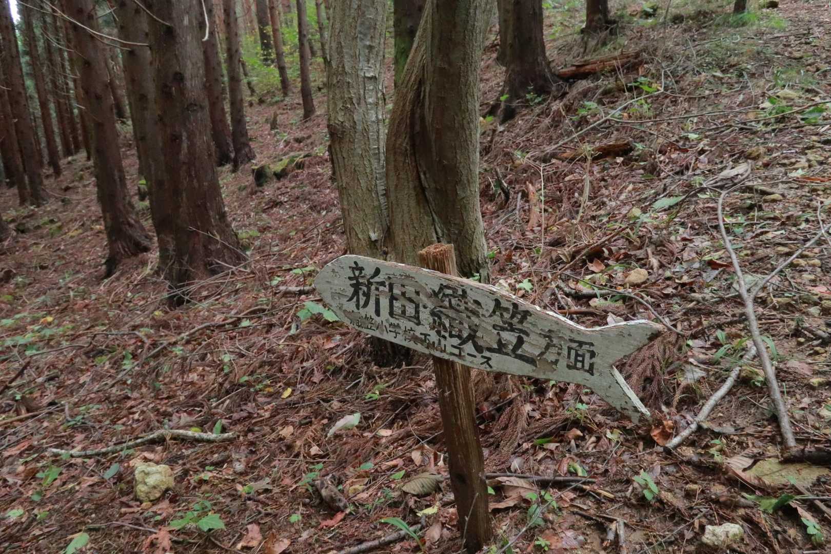 魚型☺️