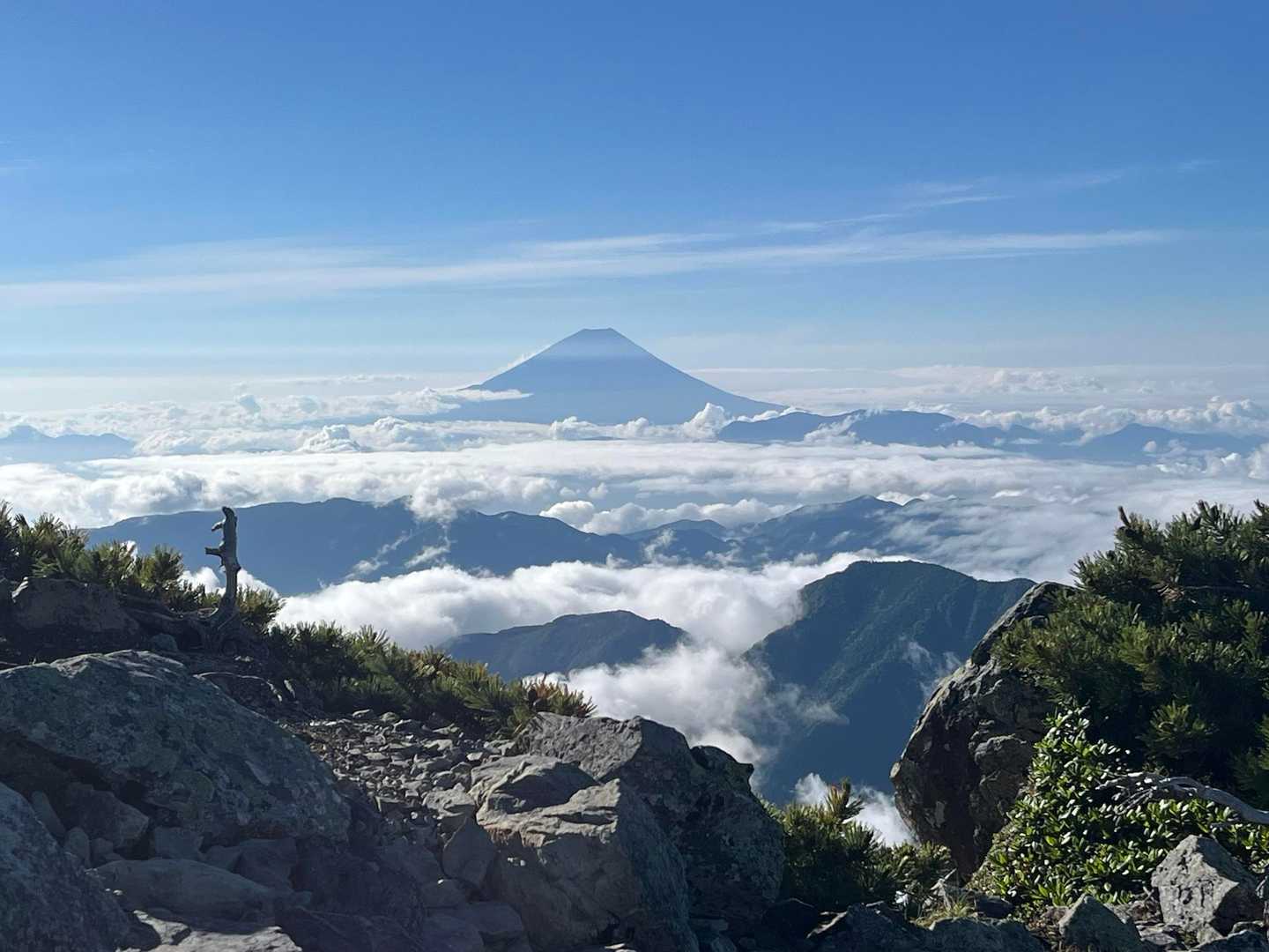 富士山もバッチリ👌