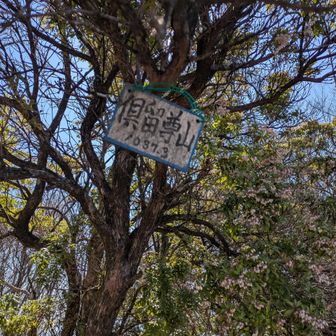 もひとつ小っさい山頂看板