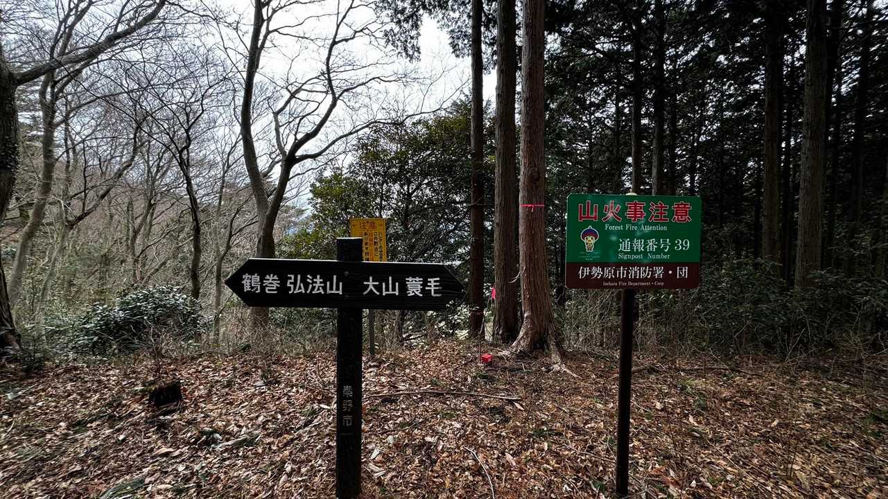 大山（ヤビツ峠〜大山〜鶴巻温泉）縦走 の写真 36