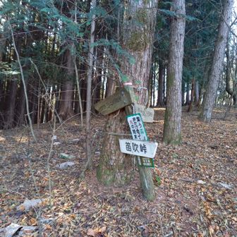 丸山は巻きます👈️