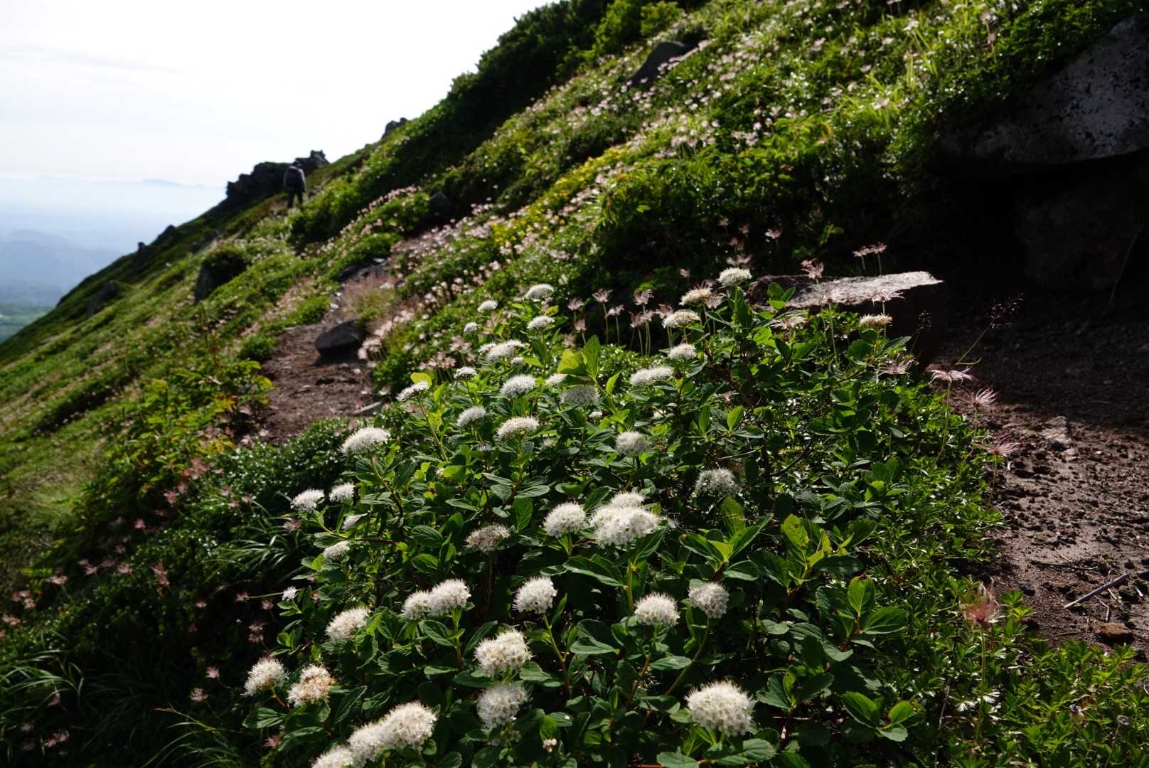 この後もまた道見失う
岩にある○✖︎↓見逃さぬよう…
当麻岳ピストンの方がいて良かった✨
ありがとうございました🙇‍♀️