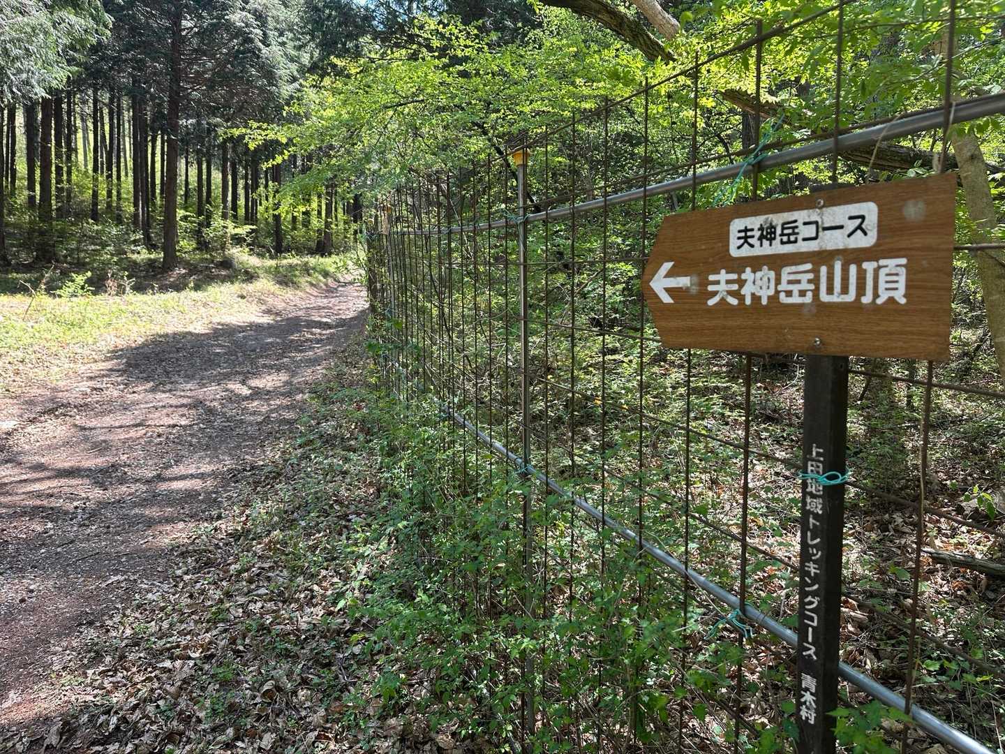 大半は林道を進みます👣