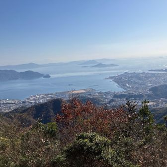 ここでお昼🍙
俯瞰で街を見るとシムシティみたい。
『奥の空き地に何建てよう？』