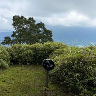 雨ヶ岳山頂。
