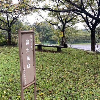 もちろん富士山は見えません