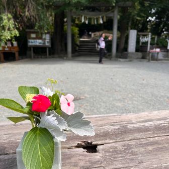 ベンチのテーブルにお花
