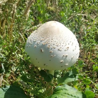 雨雲レーダー3000