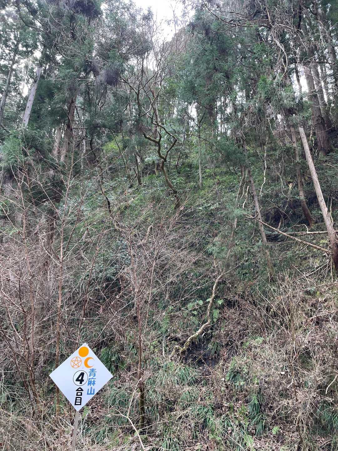 4合目