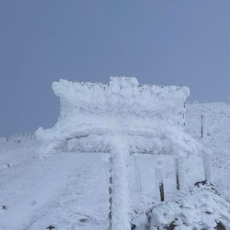 標識みえ〜ず🥲