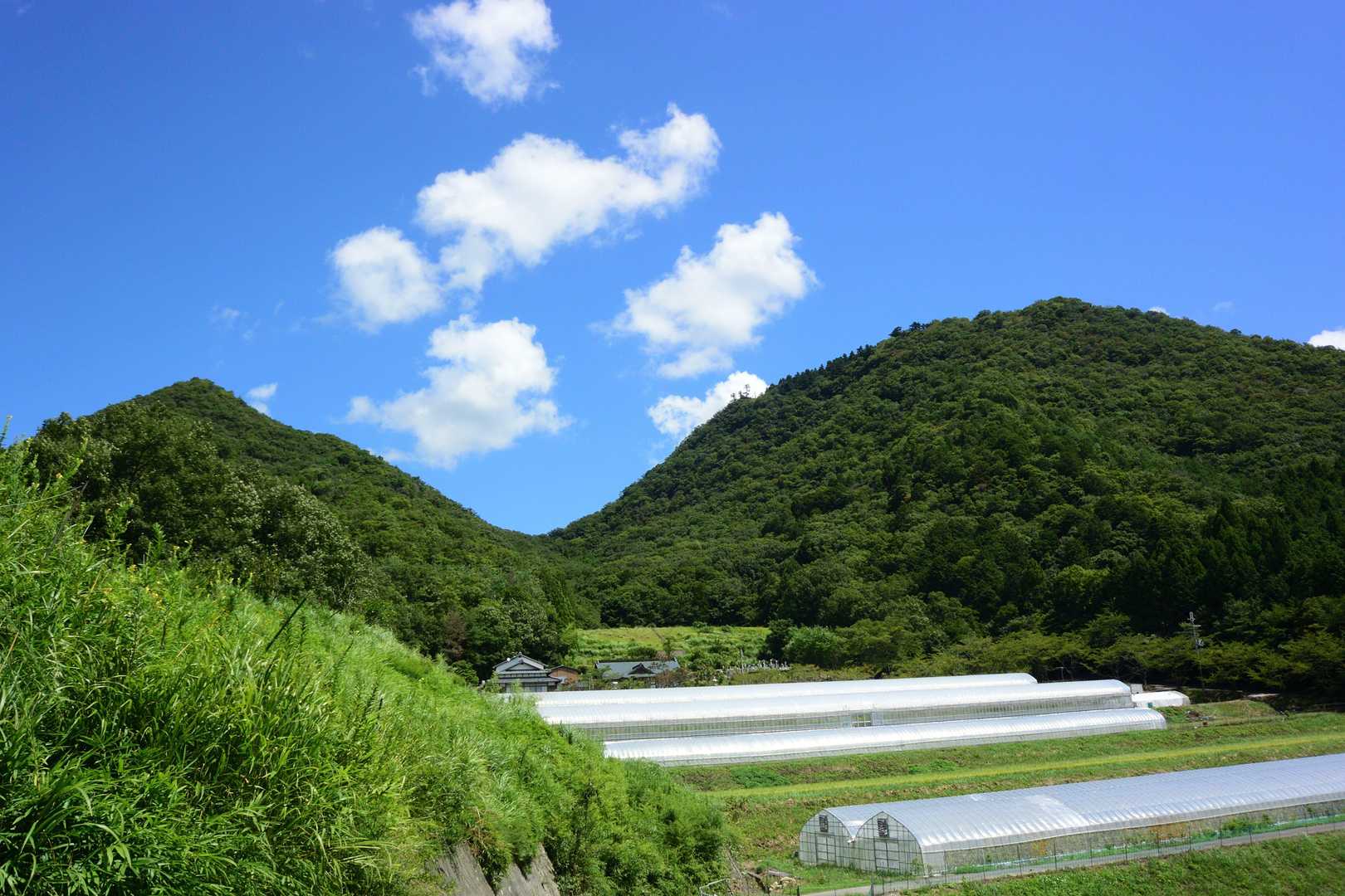宰相ヶ岳と羽束山