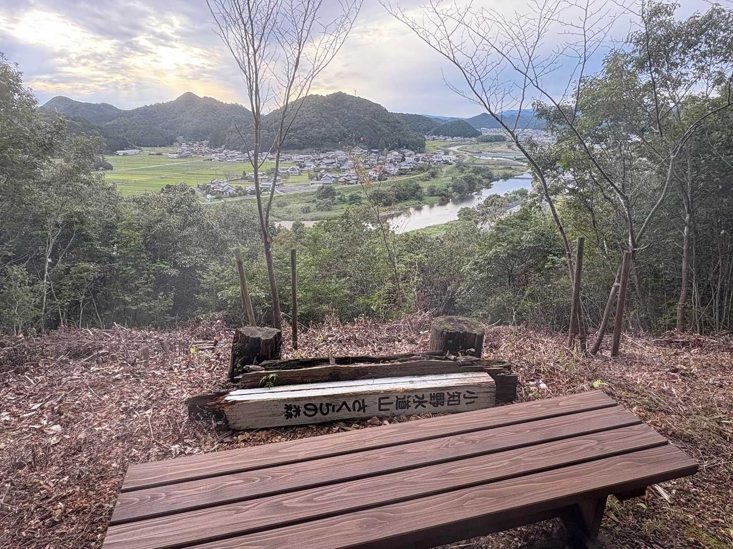 遊歩道途中のベンチ