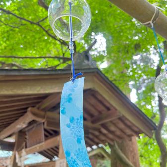 鳥居に吊るされた風鈴🎐☺️
周りに居た皆さんも、風鈴の音色が涼やかで良いよね〜と話されて写真を撮られていました☺️