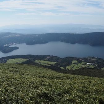 芦ノ湖
箱根カルデラにおよそ3100年前に神山が山体崩壊した時に誕生した、カルデラ湖と堰止湖のハイブリッド湖といったところ？
比較的若い