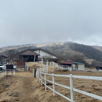言い汗かいたので蕎麦屋へ向かいます