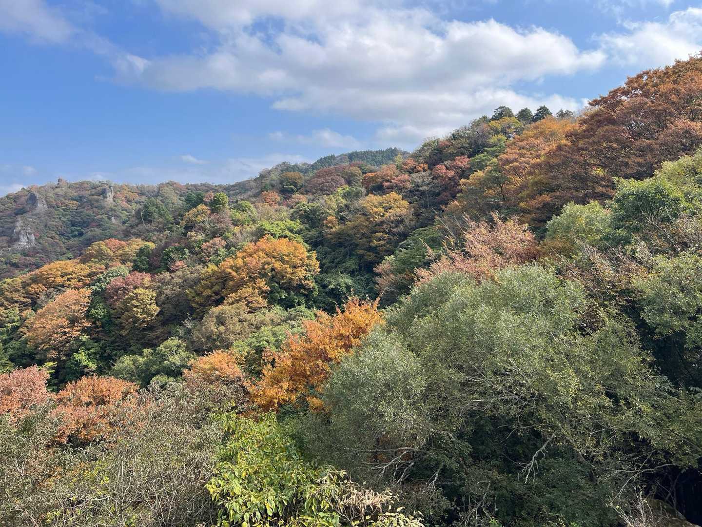 最高😃