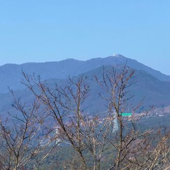 三郡メロン🍈が