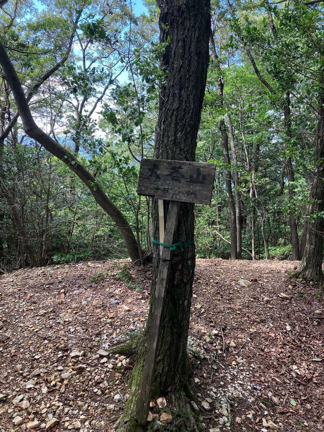 大谷山-滝谷山 往復コースの写真