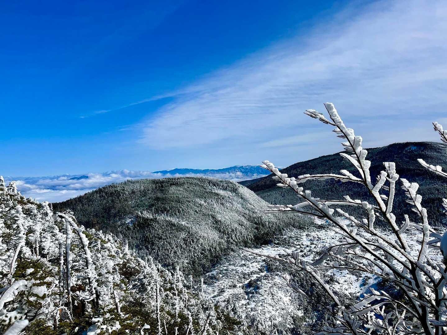 坪庭の向こうに見えるのは縞枯山かな