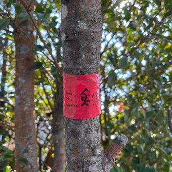 三剣山へは入口が分かりづらく、更にいきなりの岩登りでしたが何とか登頂出来ました。
助けて下さった方ありがとうございました！