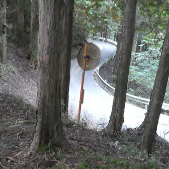 舗装路が見えました、この時点でもう道迷い、の心配は無くなりました、