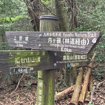 上野越