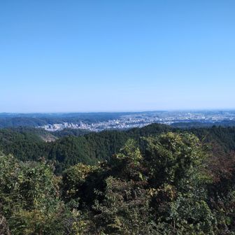 青梅の町並みも見える。