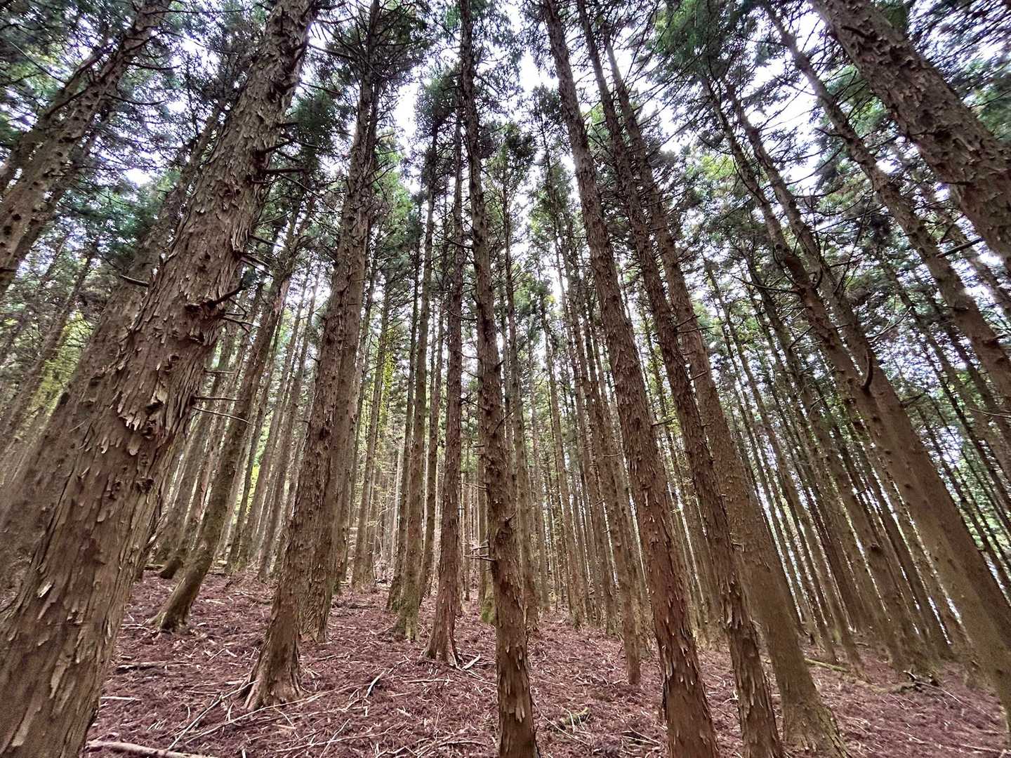 気持ち良く歩けます😊♪