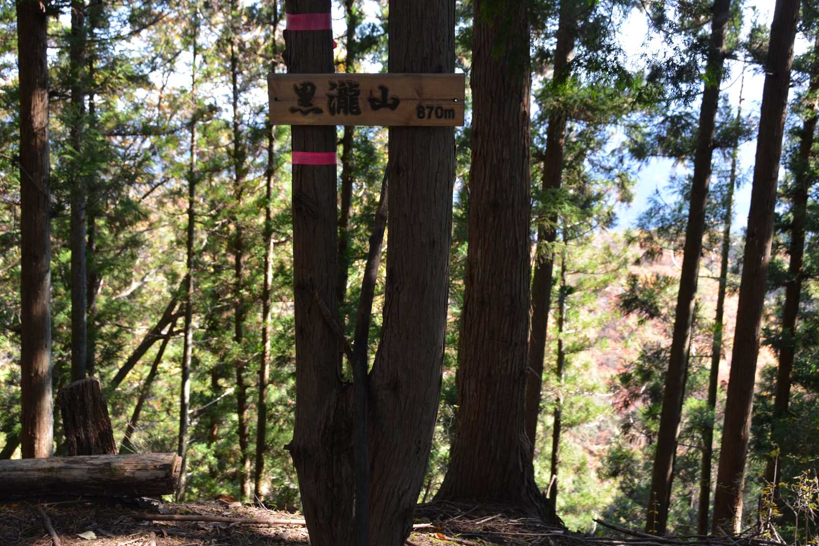 黒滝山山頂。見晴し無し。