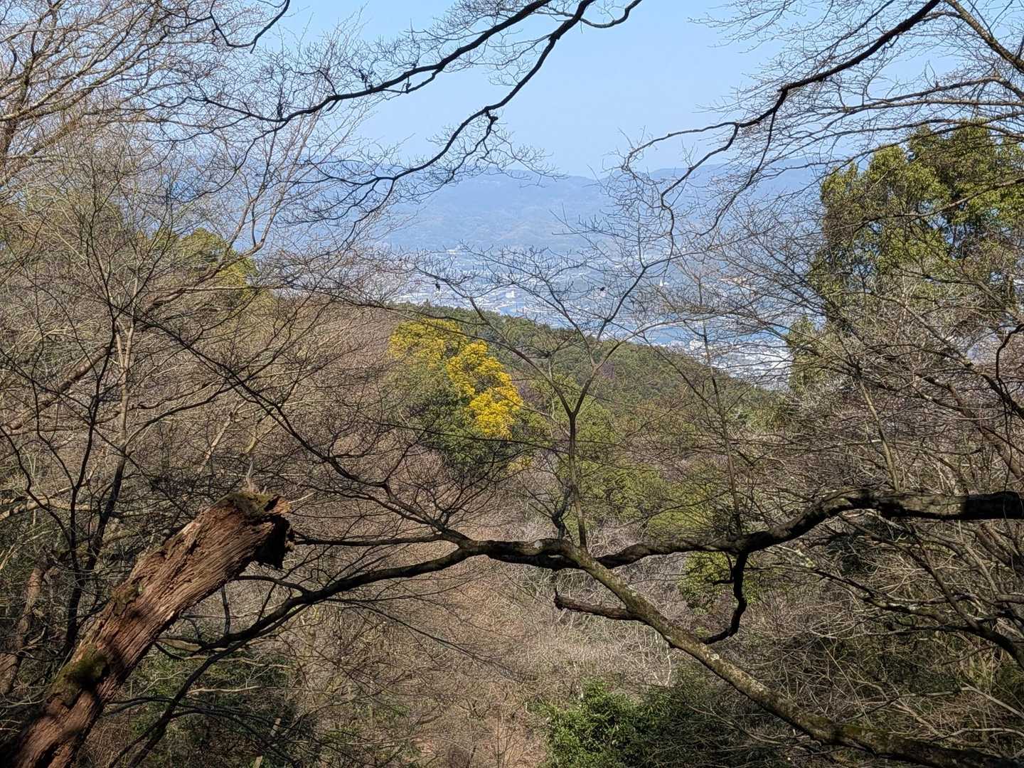 ザウルス君からの景色