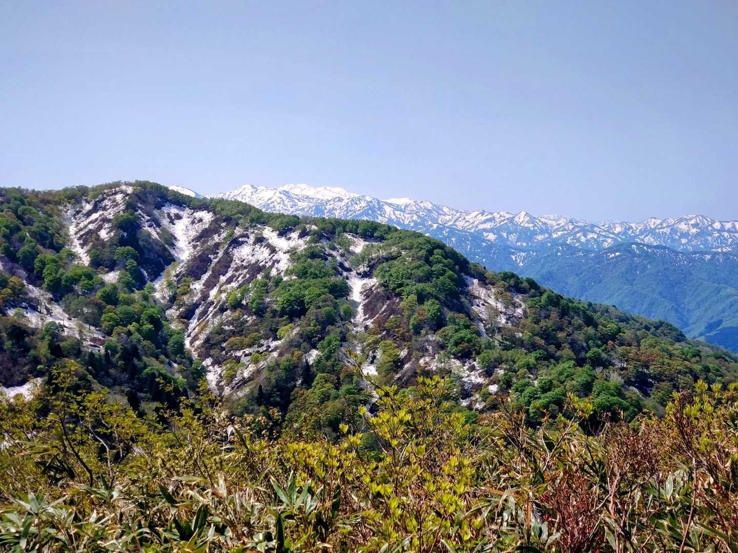 そこから急登を一登り、傾斜が緩むと「権現山」
今迄木々に遮蔽された視界が「ぱっと」広がり、奥医王山の彼方には霊峰白山🏔️

誰でも歓喜の声で、拍手喝采する事になるだろう🙌👏