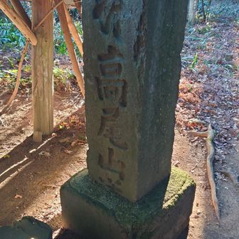 旧甲州街道小仏峠道標