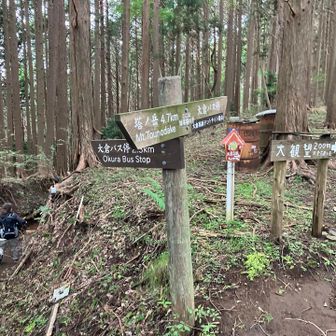 今回はキャンプ場側には回らずに。