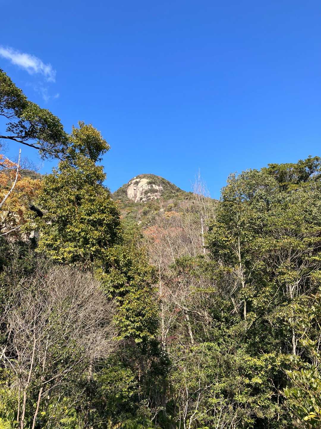 小方行者山-米小屋山-笛吹山-大鉢山-忠四郎山-桜山 周回コースの写真