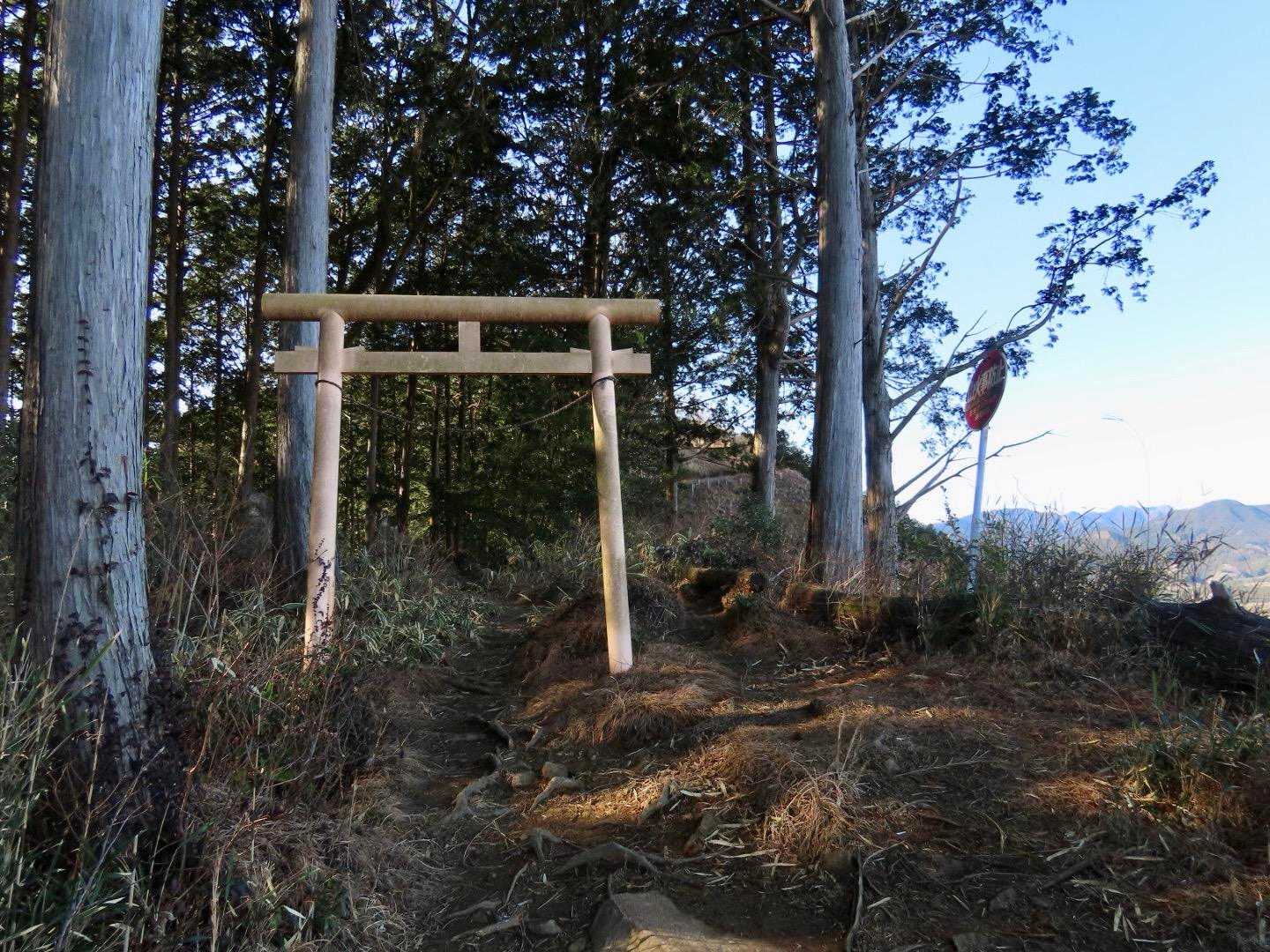 登っていくと鳥居が⛩️
鳥居の先には…