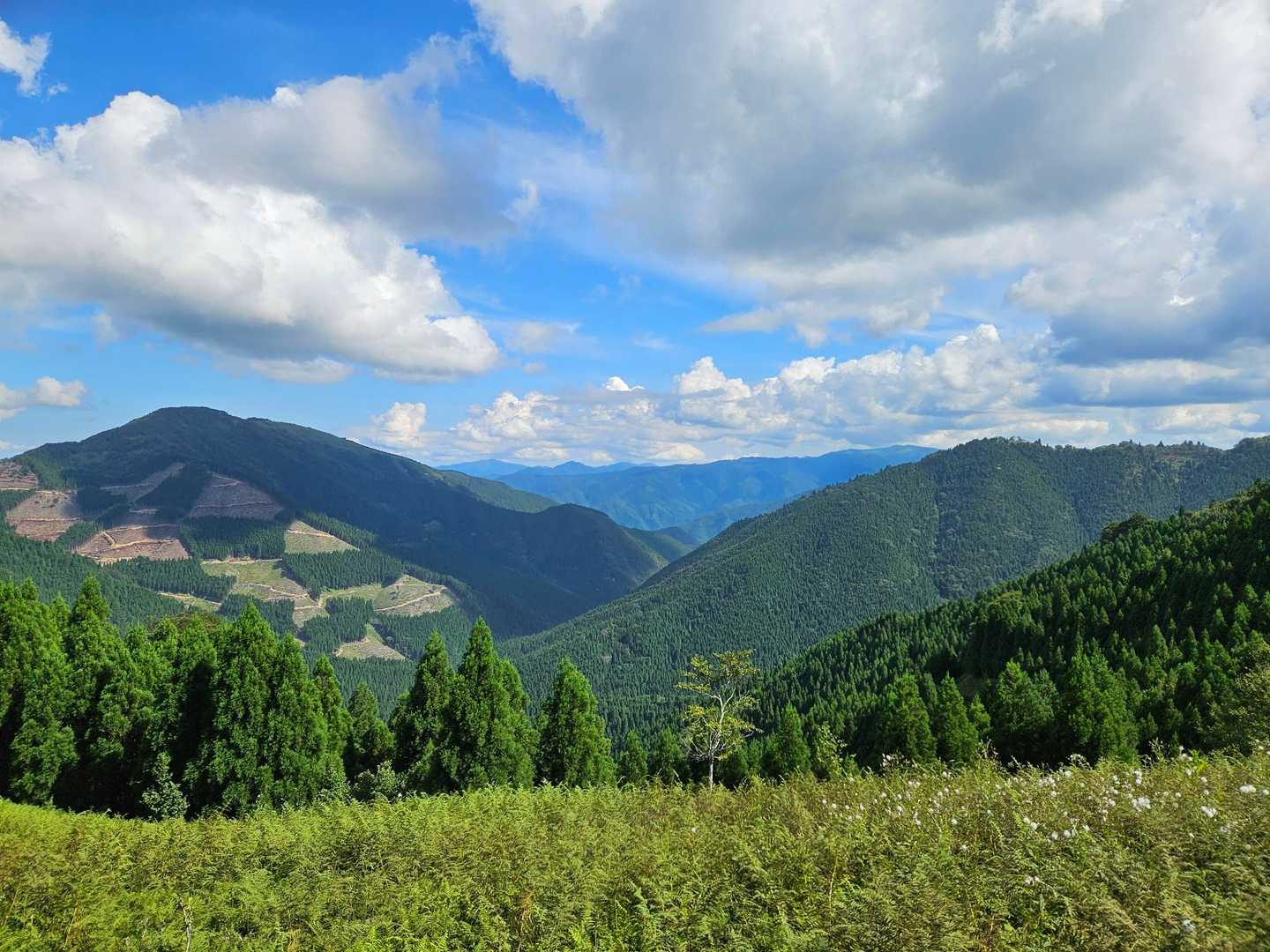 パッチワークみたいなお山がくらます。