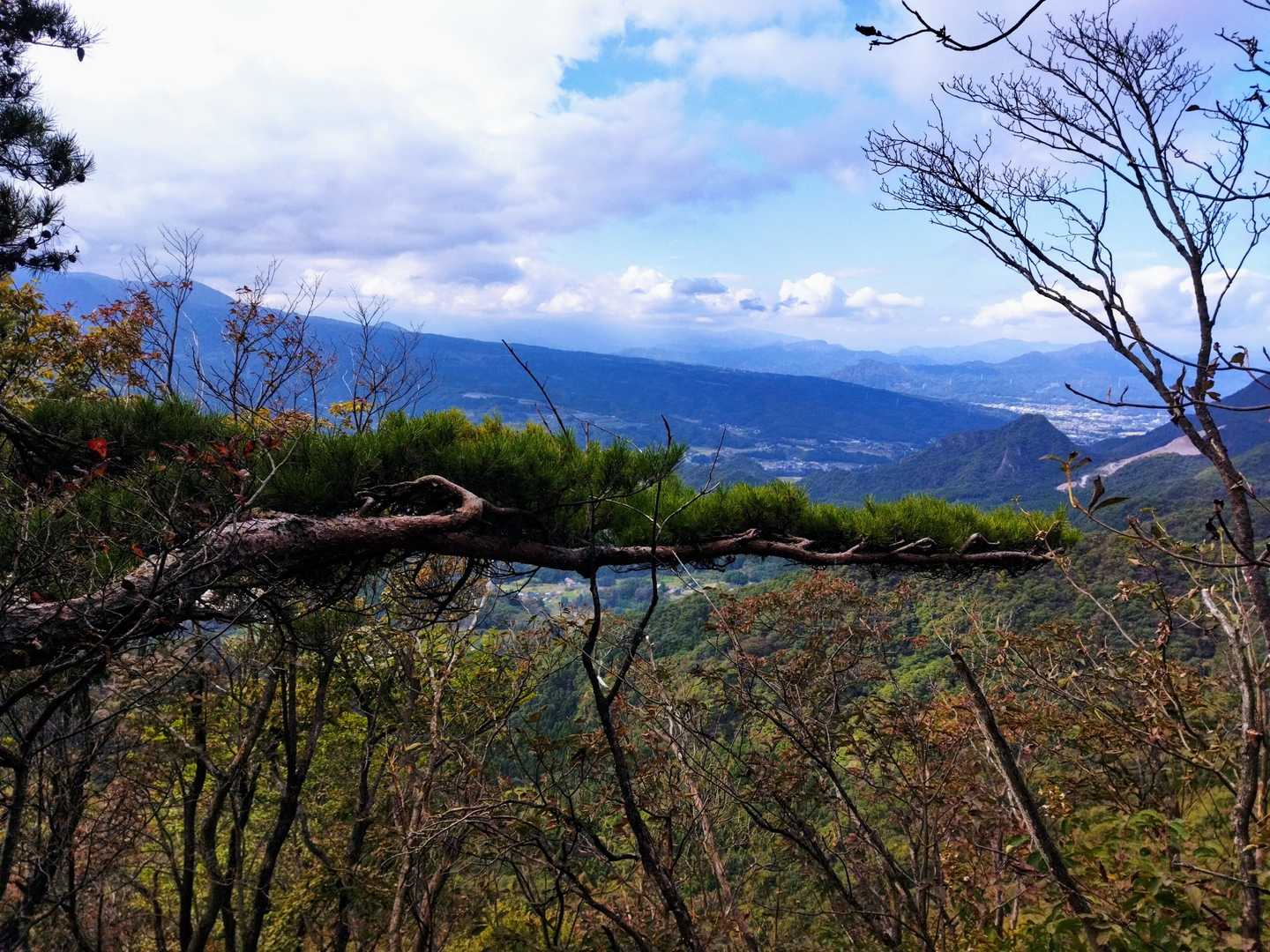 松の枝、ピーン！と
榛名山の裾野