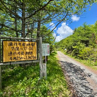 林道を通り、池ノ平駐車場🅿️に戻ります。約3キロ