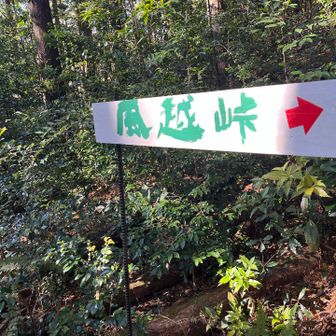 【火織】

人はどこから火を手に入れたか

ギリシャ神話ではプロメテウスがゼウスから火を盗み、人々に与えたことになっている

人類学者、フレイザーの『火の起源の神話』によると鳥が火を天界や神から盗んでくるという言い伝えが世界各地にある

英博物館などのチームは
遺跡で人類が40万年前に火をおこしていたことを示す証拠を見つけたそうだ、40万年前のご先祖たちが火で暖を取る祭を想像する

北風の冷たい季節に、ありがたい気分になる

　　　　　　　　　　　　中日春秋から