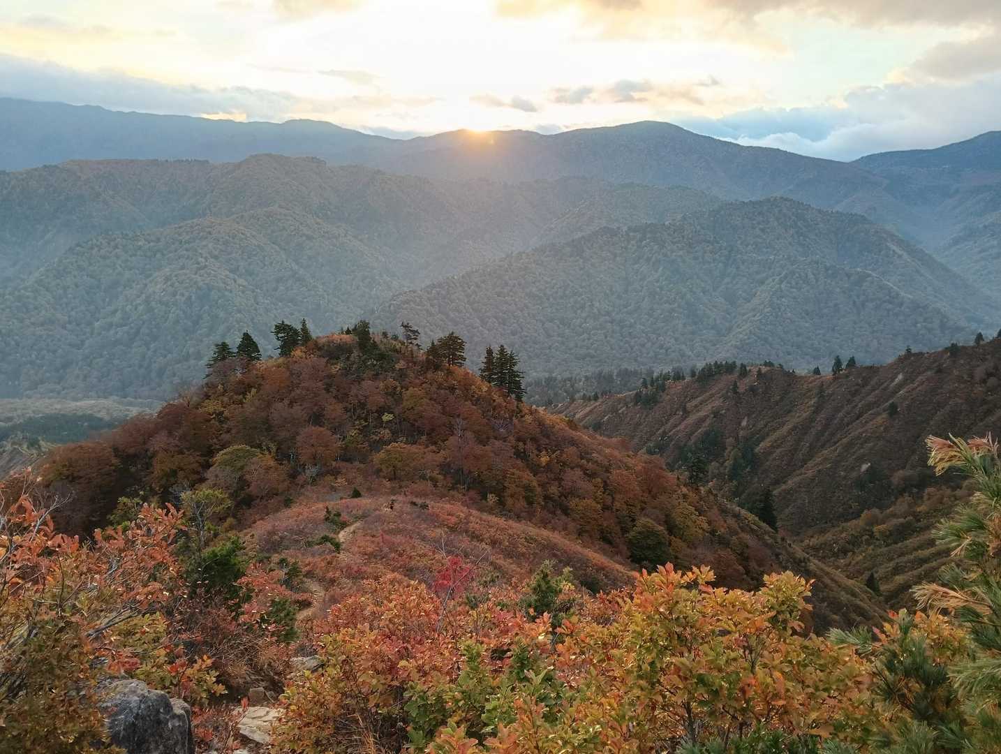 綺麗だなー🍁