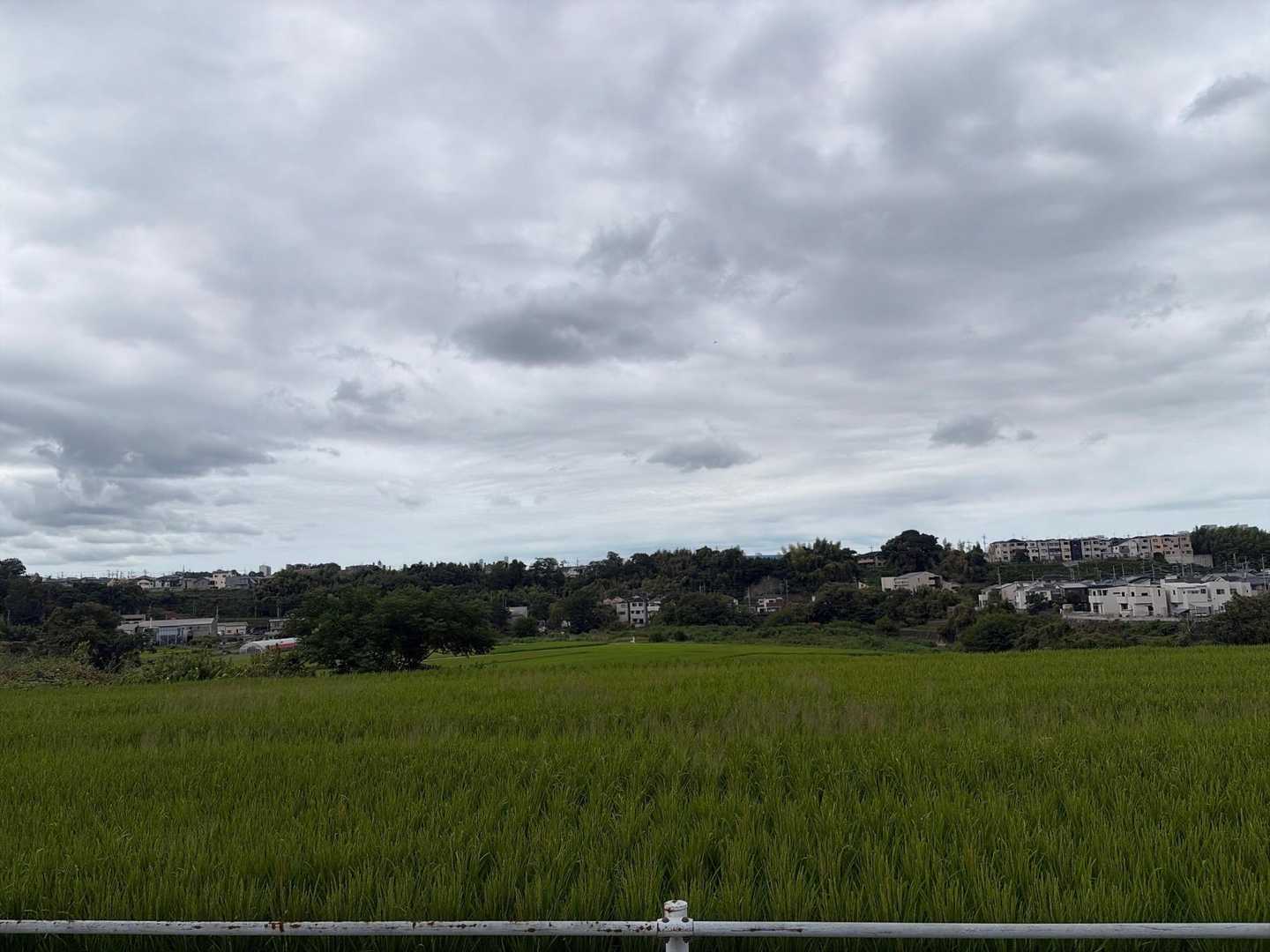 やっぱ山の麓は癒されるなぁ