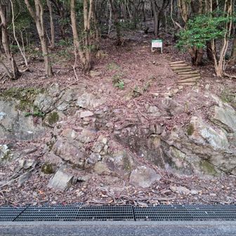 車道からよく見ると、階段の枕木が数本見つけられます