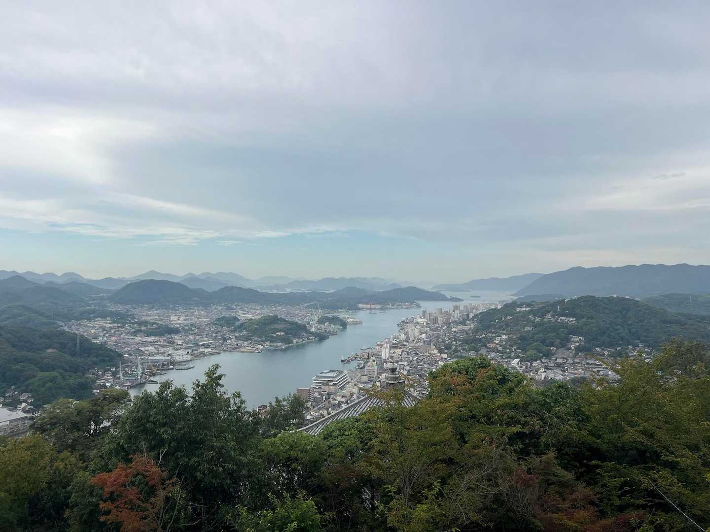 展望台から