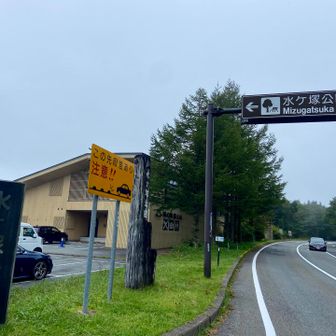 あー、水ヶ塚公園はまだ濃霧でした