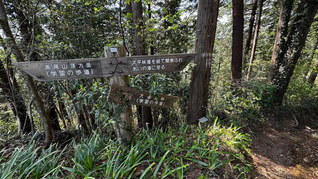 南高尾セブンサミッツ（大洞山・コンピラ山・中沢山・入沢山・泰光寺山・榎窪山・草戸山） の写真 7