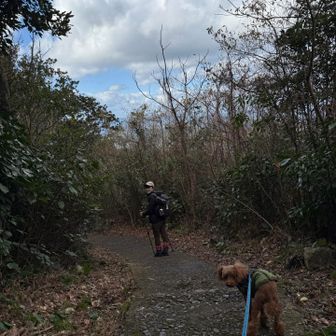 さて矢筈嶽へ向かいます