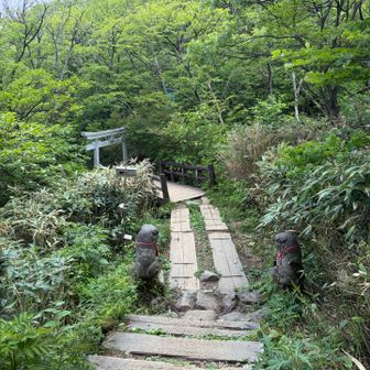 ありがとさんでした