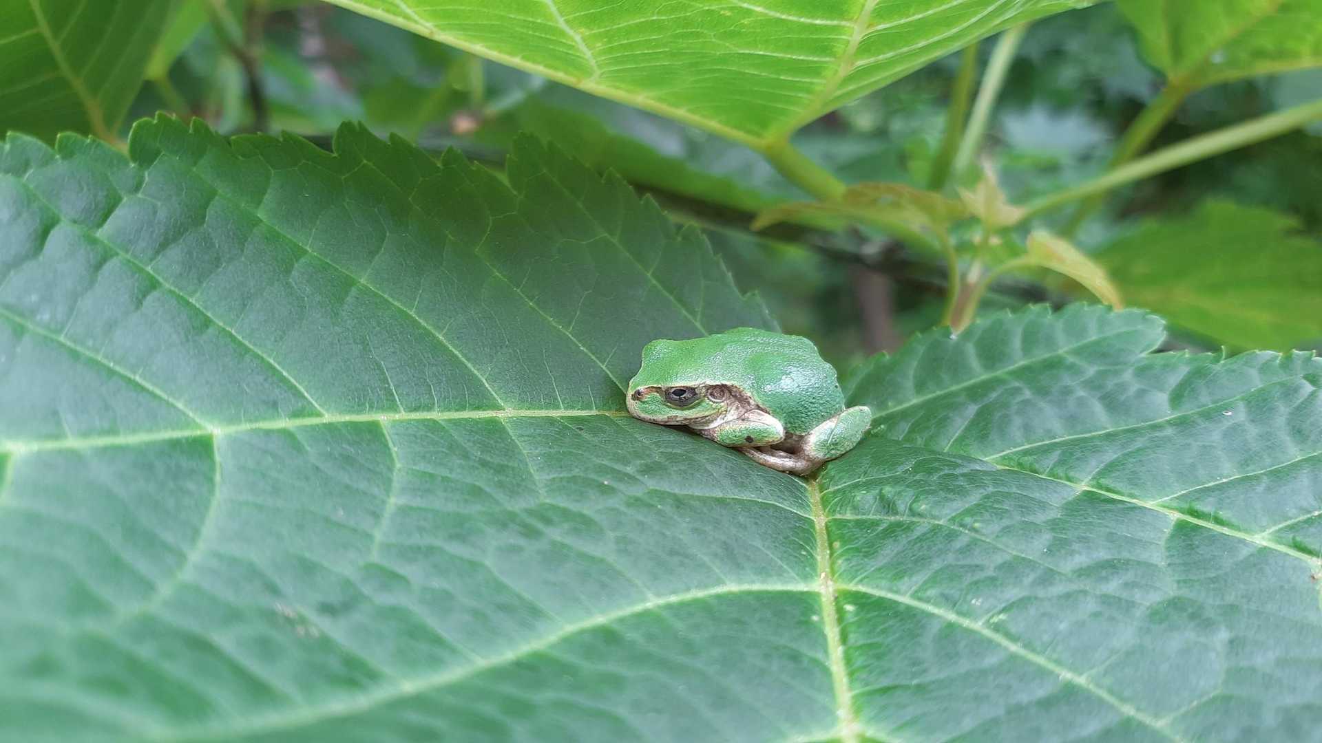 よくわからんけど、寝てるみたい😊