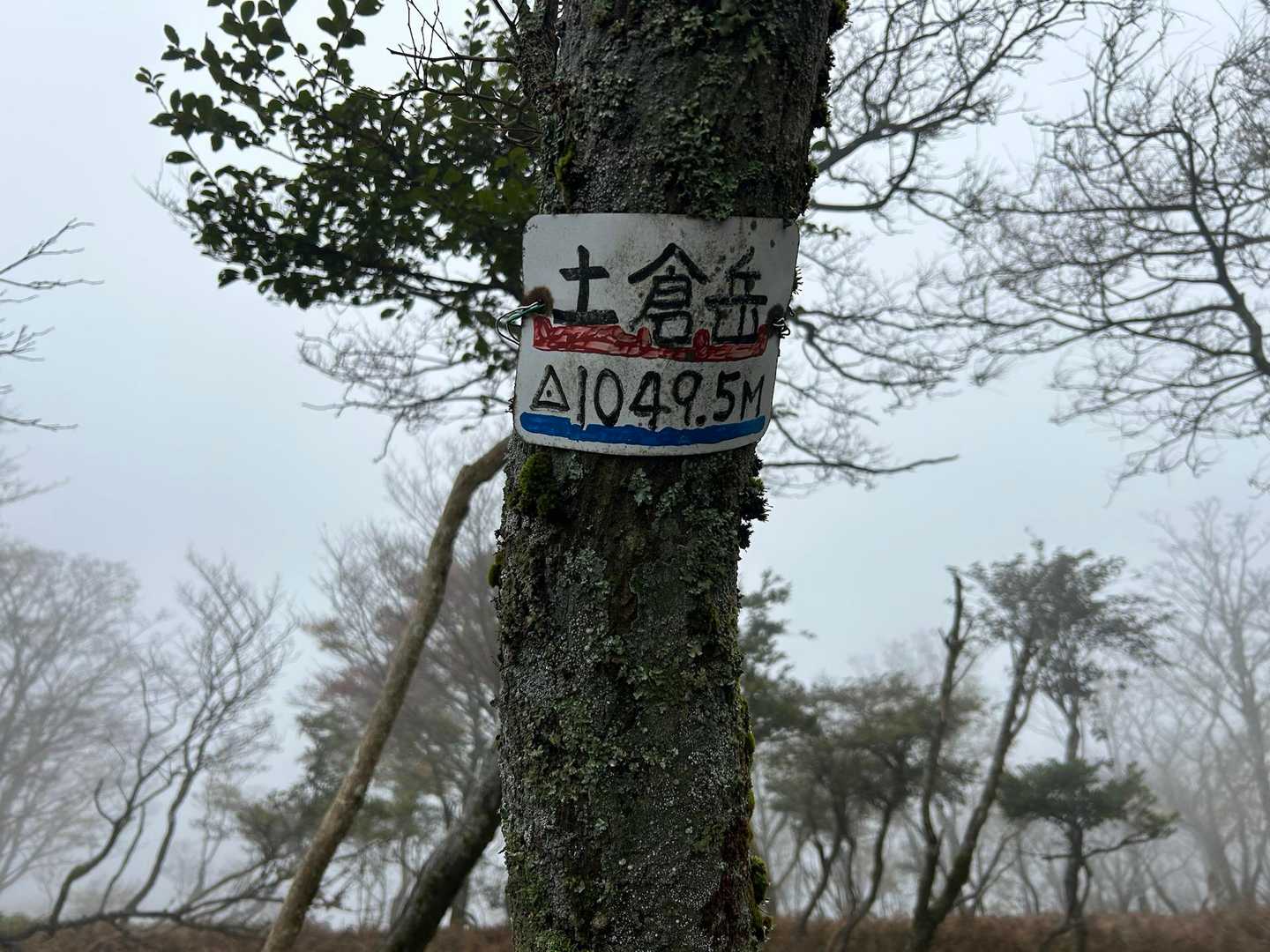 丸山まで行かなかったので、今日の唯一ピーク✨